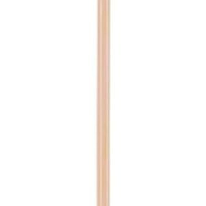 ESCOBA ALTEZA A50